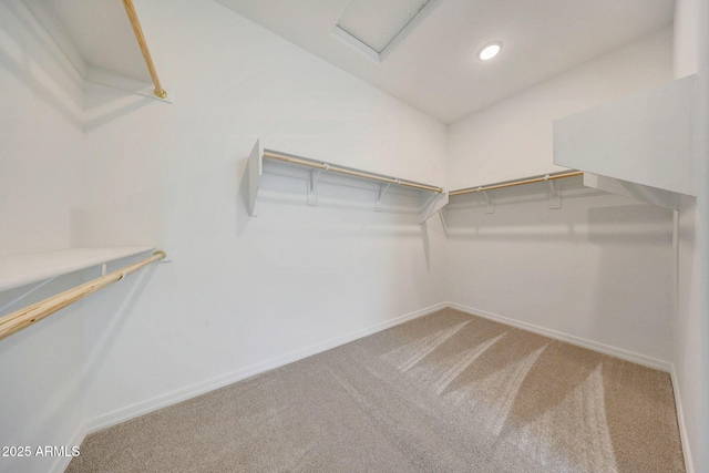 spacious closet featuring lofted ceiling and carpet flooring