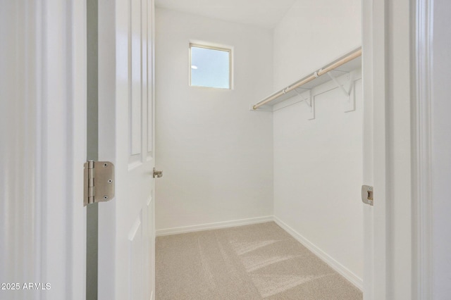 walk in closet featuring carpet flooring