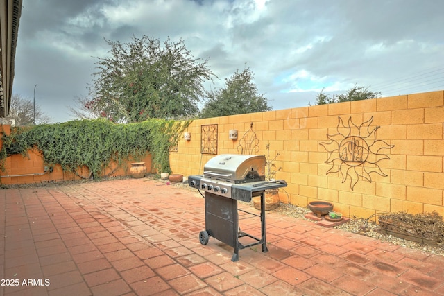 view of patio / terrace with area for grilling