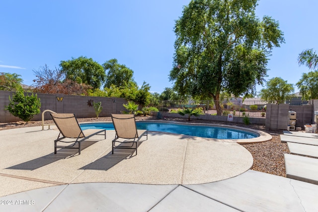 view of pool with a patio area