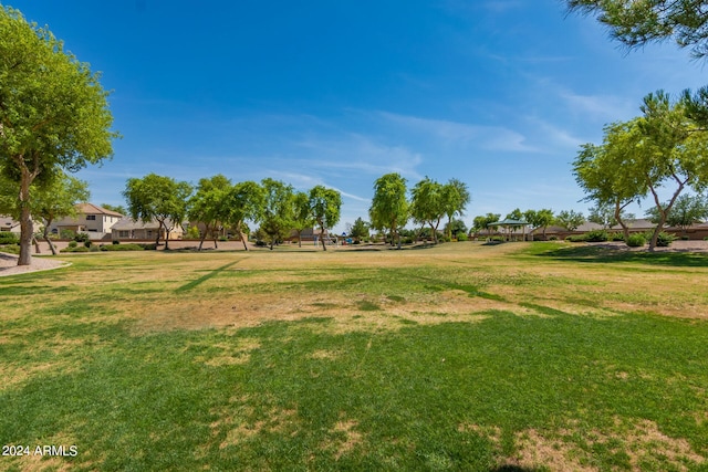 view of community featuring a yard