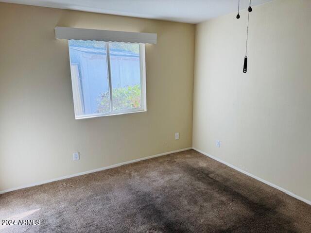 spare room with carpet floors