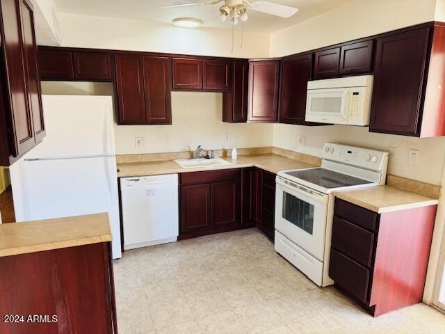 kitchen with ceiling fan, sink, and white appliances