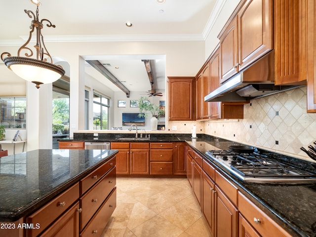 kitchen with ornamental molding, a sink, stainless steel appliances, under cabinet range hood, and backsplash