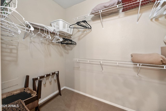 1941 S Pierpont Dr Unit 2015, Mesa, AZ 85206 - walk in closet with carpet floors
