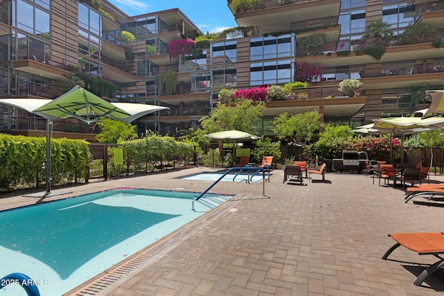 view of pool with a patio area