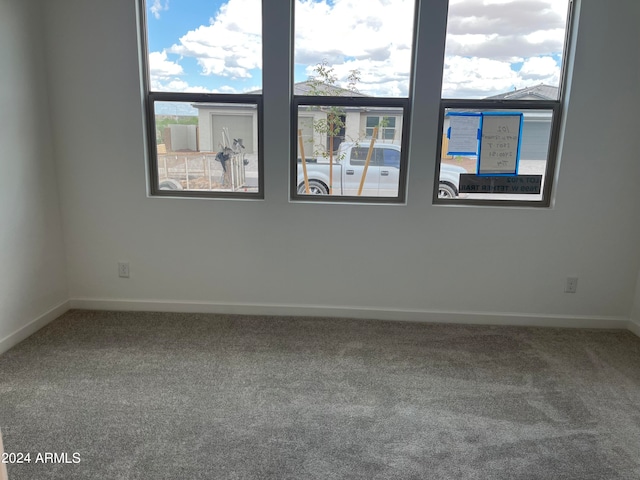 carpeted spare room with a wealth of natural light