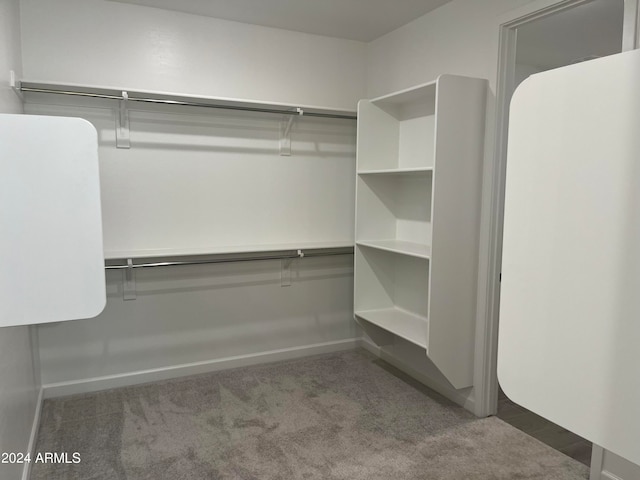 walk in closet with carpet flooring