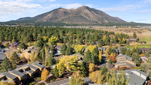 view of mountain feature