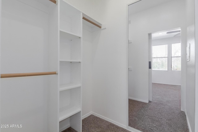 20100 N 78th Pl Unit 2114, Scottsdale, AZ 85255 - spacious closet featuring carpet