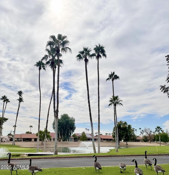 19400 N Westbrook Pkwy Unit 216, Peoria, AZ 85382 - view of community with a yard, a water view, and a residential view