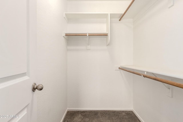 31515 W Buchanan St, Buckeye, AZ 85326 - spacious closet with carpet