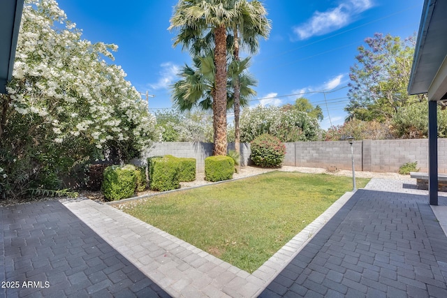 view of yard featuring a fenced backyard and a patio area