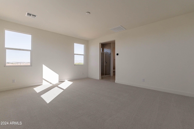 spare room with a healthy amount of sunlight and light colored carpet