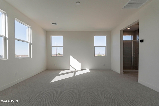 unfurnished room with light colored carpet