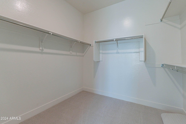 spacious closet with carpet