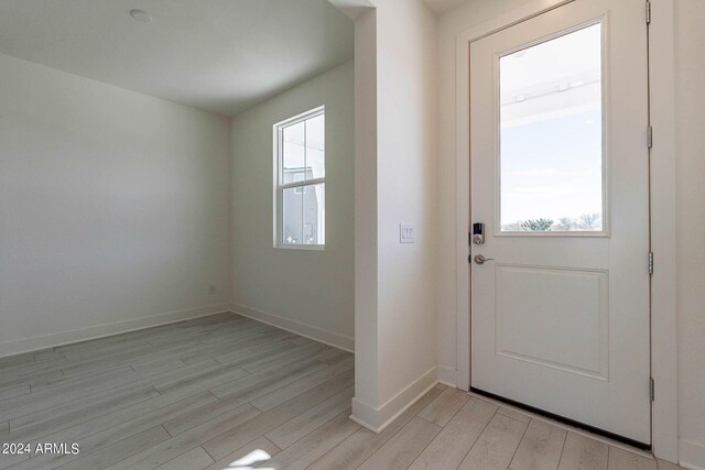 entryway with light hardwood / wood-style floors and a wealth of natural light