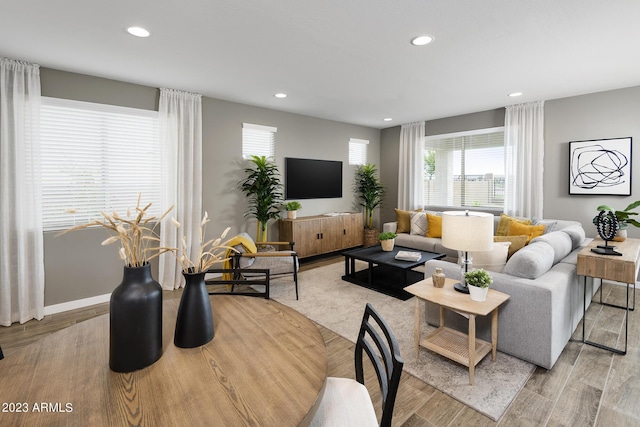 living room with light wood-type flooring and a healthy amount of sunlight