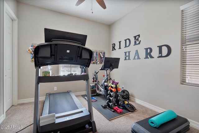 workout area with baseboards, carpet, and a ceiling fan