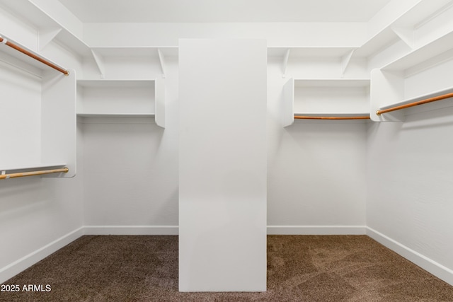 spacious closet featuring dark colored carpet