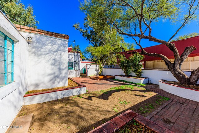 view of yard with a patio area