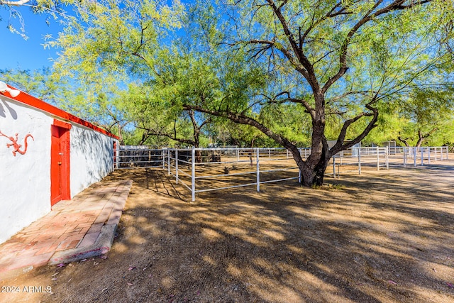 view of yard featuring a rural view