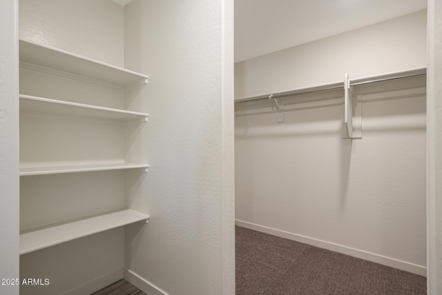 spacious closet with dark colored carpet