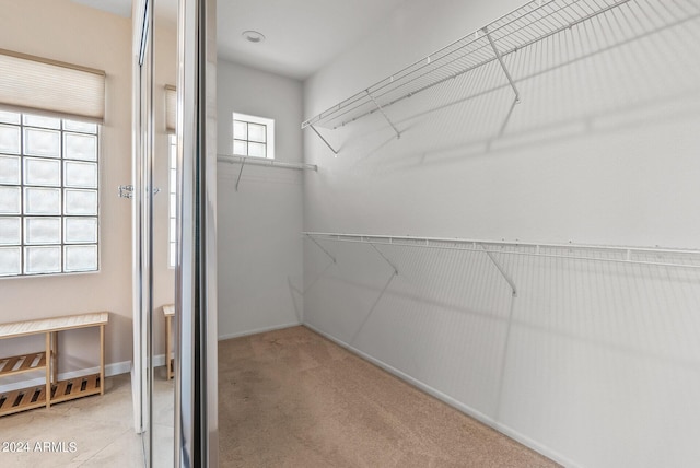 spacious closet featuring light colored carpet