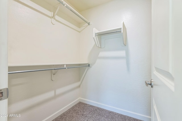 walk in closet featuring carpet floors