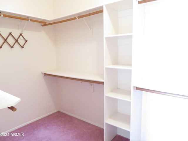 spacious closet with light carpet