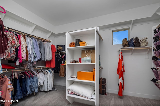 spacious closet featuring carpet floors