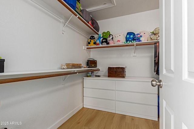 6017 E Kathleen Rd, Scottsdale, AZ 85254 - walk in closet with light wood-style flooring