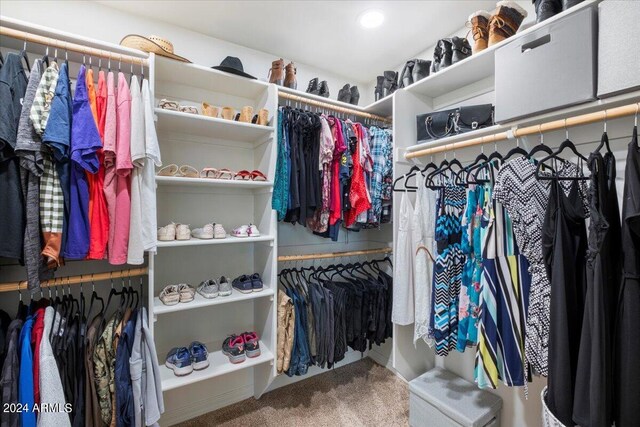 spacious closet featuring carpet flooring