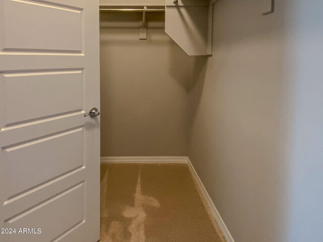 spacious closet featuring carpet