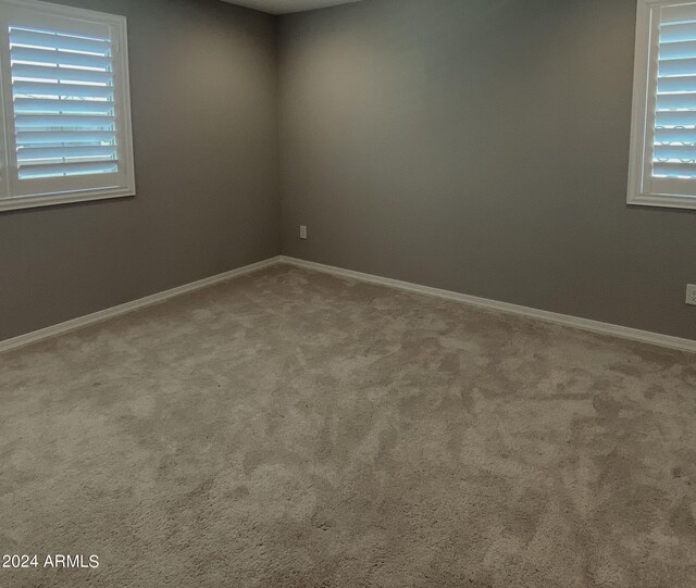 spare room featuring carpet floors