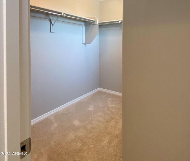 spacious closet with light colored carpet