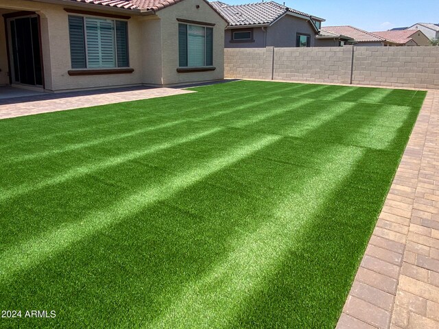 view of yard featuring a patio area