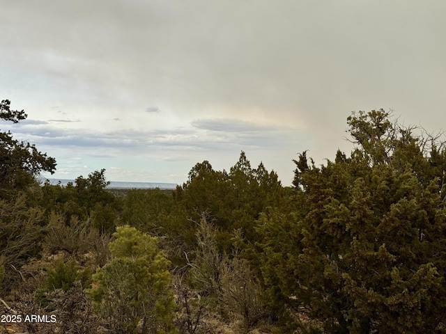 3585 Meadow Wood Dr Unit 125, Happy Jack, AZ 86024