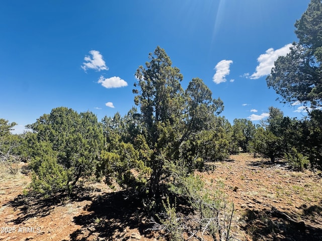 3585 Meadow Wood Dr Unit 125, Happy Jack, AZ 86024
