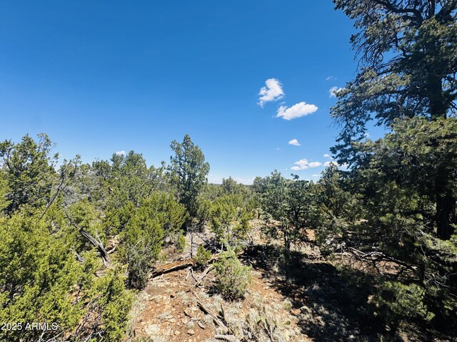 3585 Meadow Wood Dr Unit 125, Happy Jack, AZ 86024