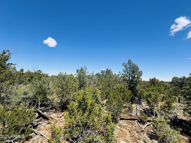 3585 Meadow Wood Dr Unit 125, Happy Jack, AZ 86024