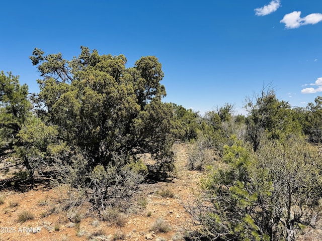 3585 Meadow Wood Dr Unit 125, Happy Jack, AZ 86024