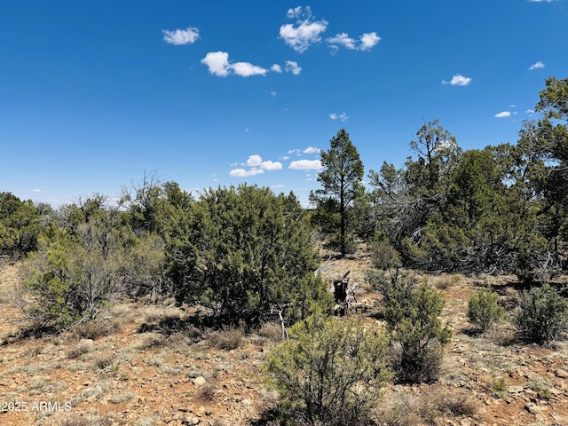 3585 Meadow Wood Dr Unit 125, Happy Jack, AZ 86024
