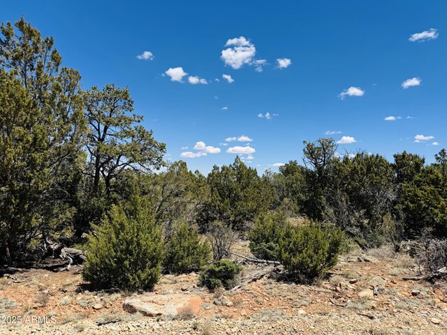 3585 Meadow Wood Dr Unit 125, Happy Jack, AZ 86024