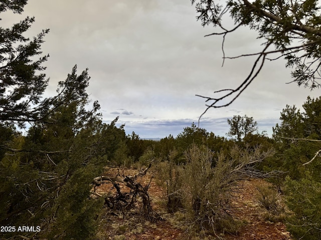 3585 Meadow Wood Dr Unit 125, Happy Jack, AZ 86024