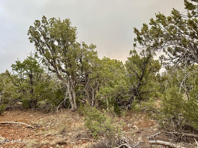 3585 Meadow Wood Dr Unit 125, Happy Jack, AZ 86024
