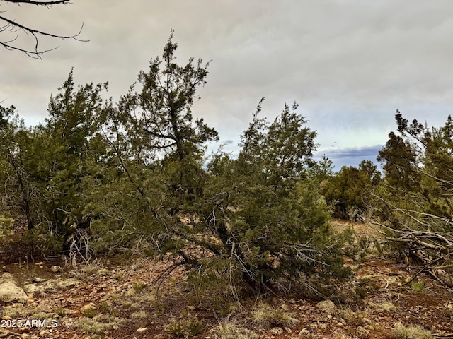 3585 Meadow Wood Dr Unit 125, Happy Jack, AZ 86024