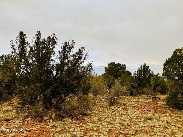 3585 Meadow Wood Dr Unit 125, Happy Jack, AZ 86024
