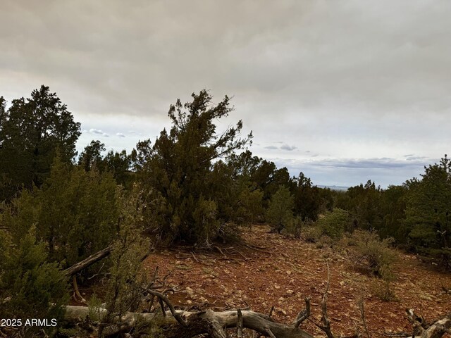 3585 Meadow Wood Dr Unit 125, Happy Jack, AZ 86024