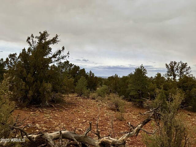 3585 Meadow Wood Dr Unit 125, Happy Jack, AZ 86024